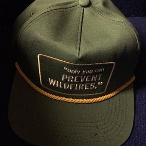 Smokey the Bear Hat